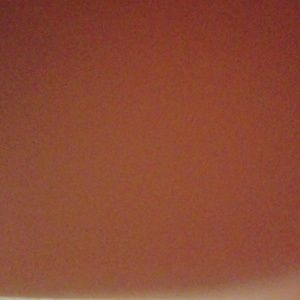 Meet your Posher, Rose